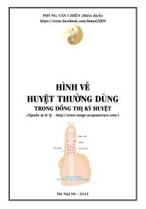 Hình Vẽ Và Huyệt Vị Thường Dùng Trong Đổng Thị Kỳ Huyệt - Phùng Văn Chiến
