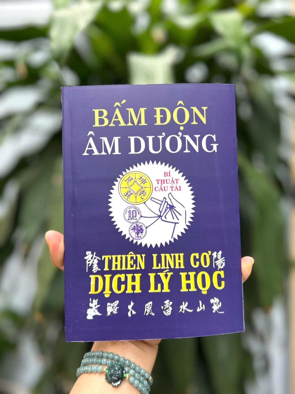 Bấm Độn Âm Dương (Thiên Linh Cơ Dịch Lý Học) - Bùi Xuân Triêm