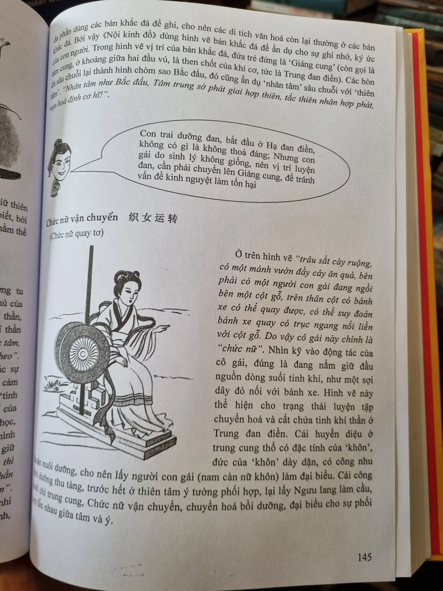 Đồ Hình Giải Thích Hoàng Đế Nội Kinh - Đào Tuấn Hiệp - Ảnh 7