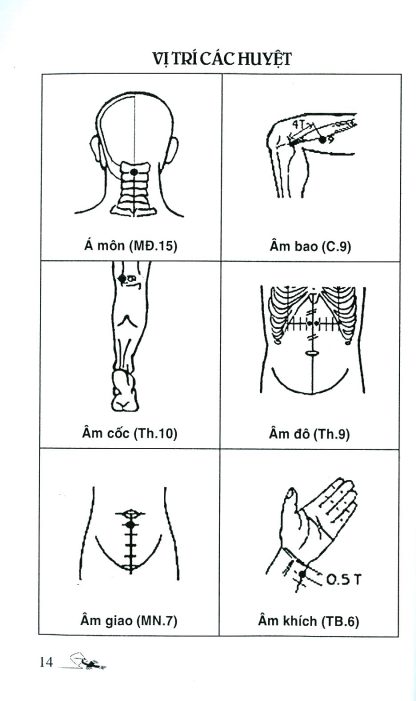 Khí Công Y Đạo Sổ Tay Tìm Huyệt - Đỗ Đức Ngọc - Hình ảnh 3