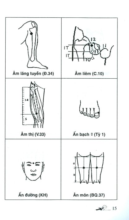 Khí Công Y Đạo Sổ Tay Tìm Huyệt - Đỗ Đức Ngọc - Hình ảnh 4