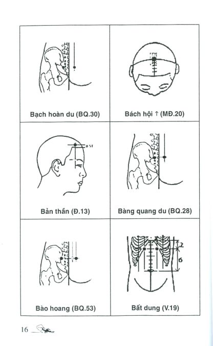 Khí Công Y Đạo Sổ Tay Tìm Huyệt - Đỗ Đức Ngọc - Hình ảnh 5