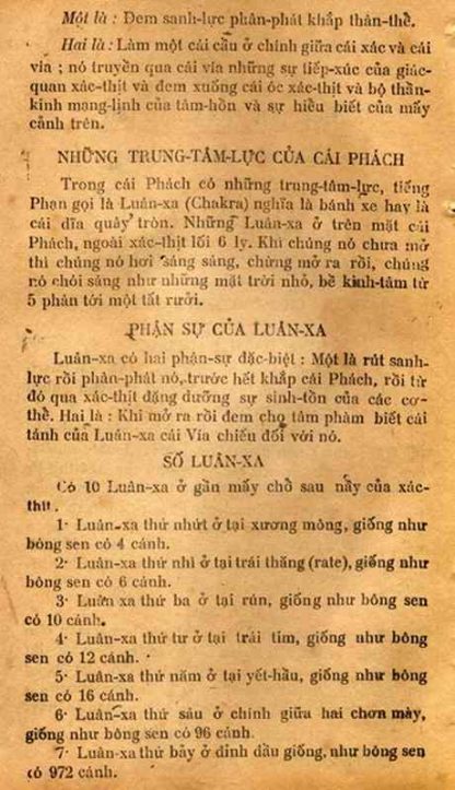 Sách Thông Thiên Học: Thể Phách (Cái Phách) - Bạch Liên - Hình ảnh 3