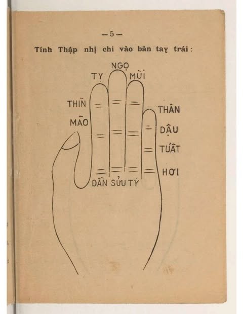 Ngốc Tử Tướng Số - Ngốc Tử - Ảnh 3