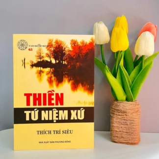 Thiền Tứ Niệm Xứ - Thích Trí Siêu