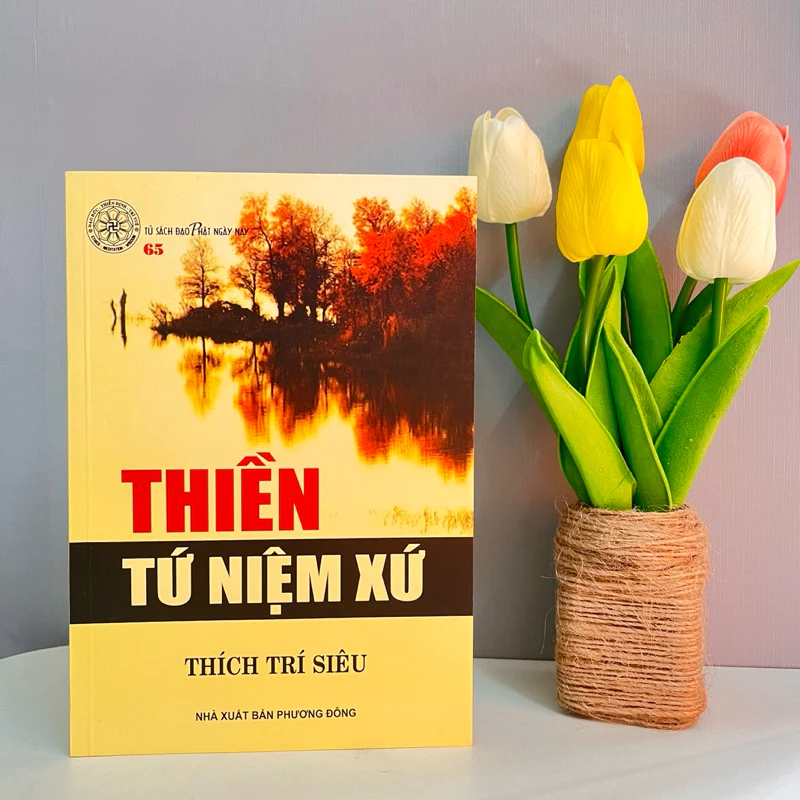 Thiền Tứ Niệm Xứ - Thích Trí Siêu