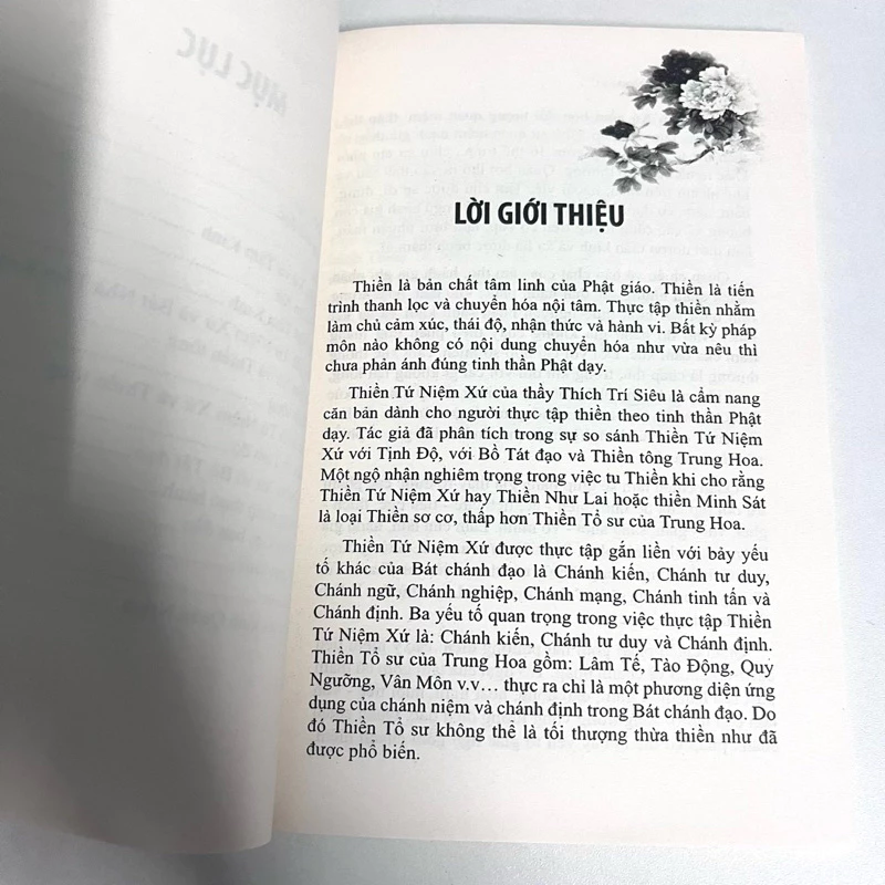 Thiền Tứ Niệm Xứ - Thích Trí Siêu - Ảnh 3