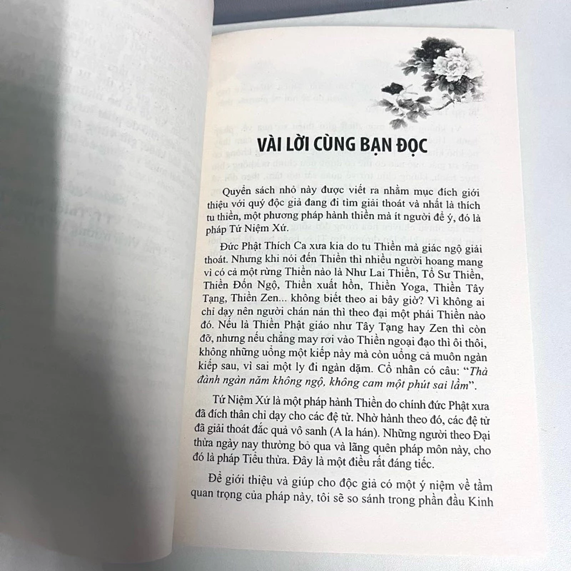 Thiền Tứ Niệm Xứ - Thích Trí Siêu - Ảnh 7