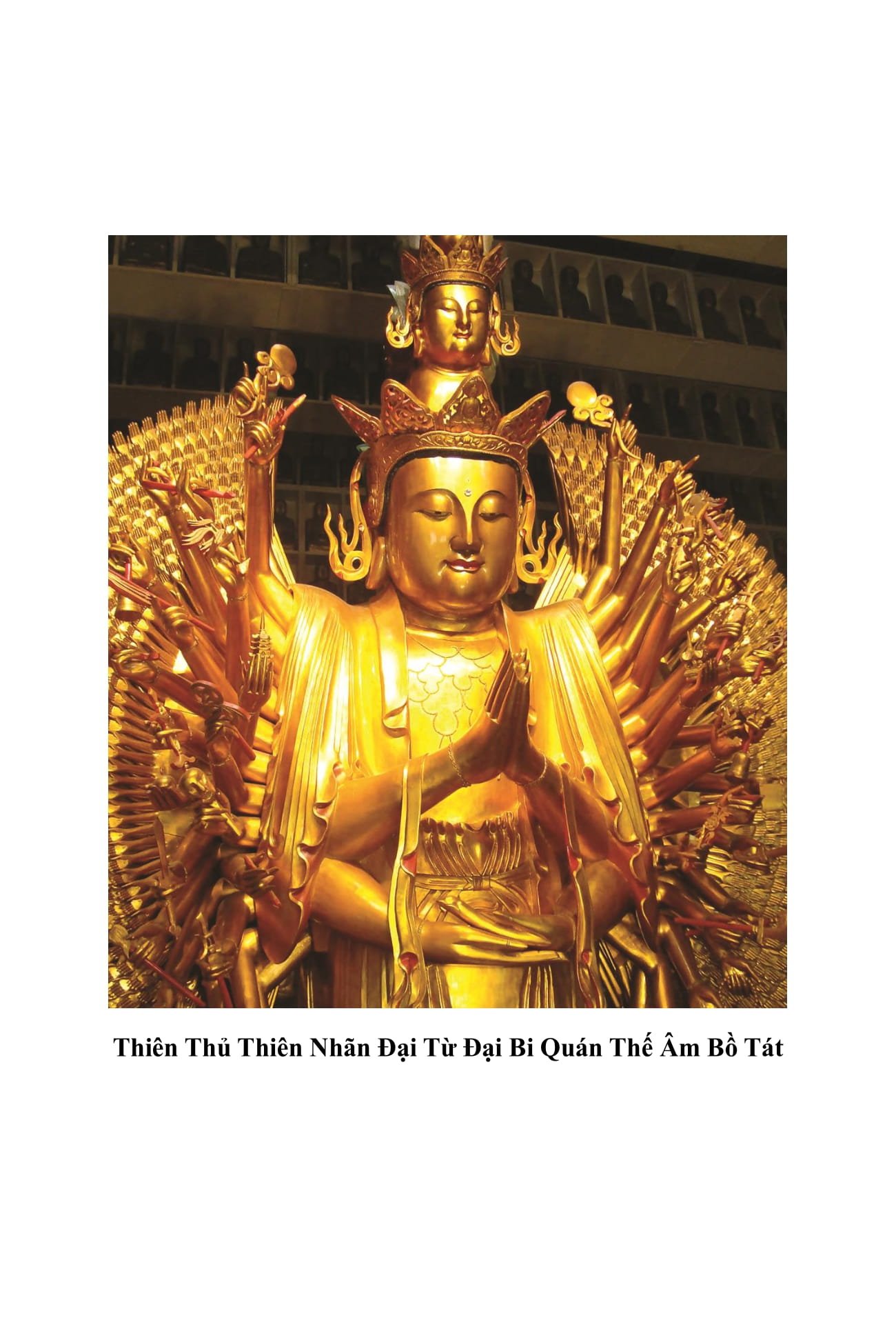 Giảng Giải Kinh Đại Bi Tâm Đà La Ni - Hòa Thượng Tuyên Hóa - Ảnh 3