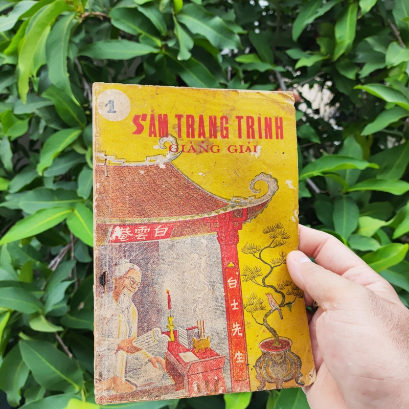 Sấm Trạng Trình Giảng Giải - Nguyễn Quỳnh