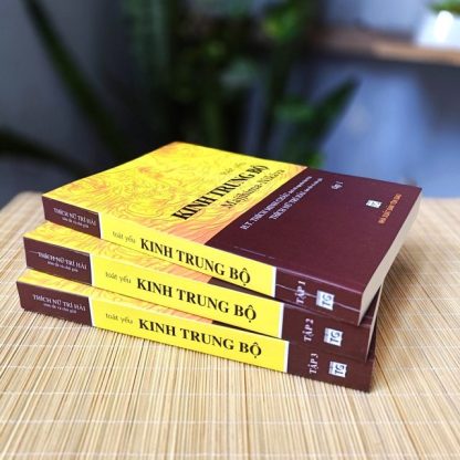 Kinh Trung Bộ Trọn Bộ 152 Bài - Hòa Thượng Thích Minh Châu - Hình ảnh 3