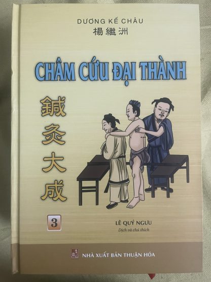 Châm Cứu Đại Thành – Dương Kế Châu (Lê Quý Ngưu Dịch 3 Tập) - Hình ảnh 3