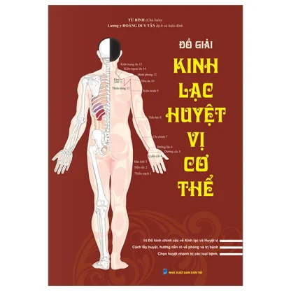 Đồ Giải Kinh Lạc Huyệt Vị Cơ Thể - Từ Bình