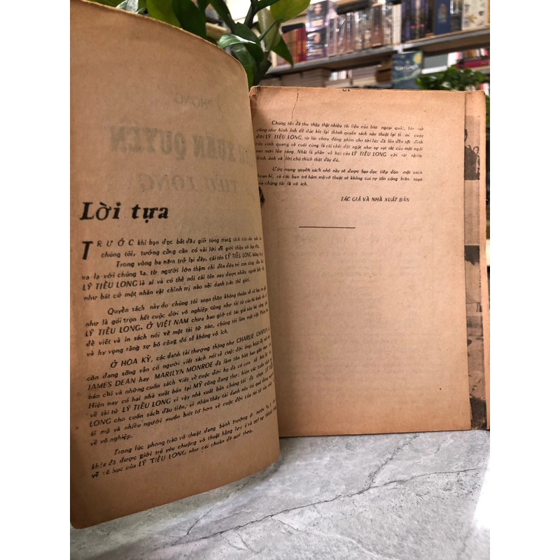 Vĩnh Xuân Quyền Lý Tiểu Long - Lôi Phong - Ảnh 2