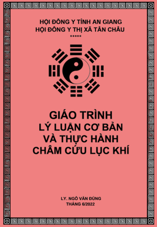 Giáo Trình Lý Luận Cơ Bản Và Thực Hành Châm Cứu Lục Khí - Thầy Đặng Đức Thảo , Lương Y Ngô Văn Đúng