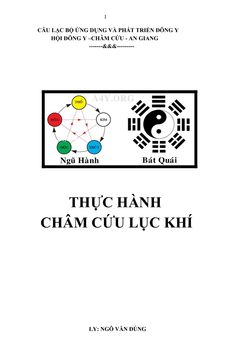 Giáo Trình Lý Luận Cơ Bản Và Thực Hành Châm Cứu Lục Khí - Thầy Đặng Đức Thảo , Lương Y Ngô Văn Đúng - Ảnh 4