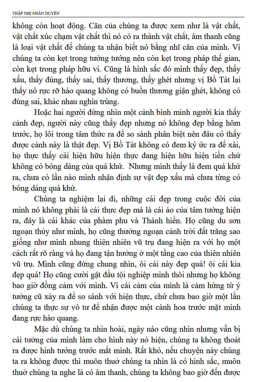 Thập Nhị Nhân Duyên - T.T Thích Tuệ Hải - Ảnh 4