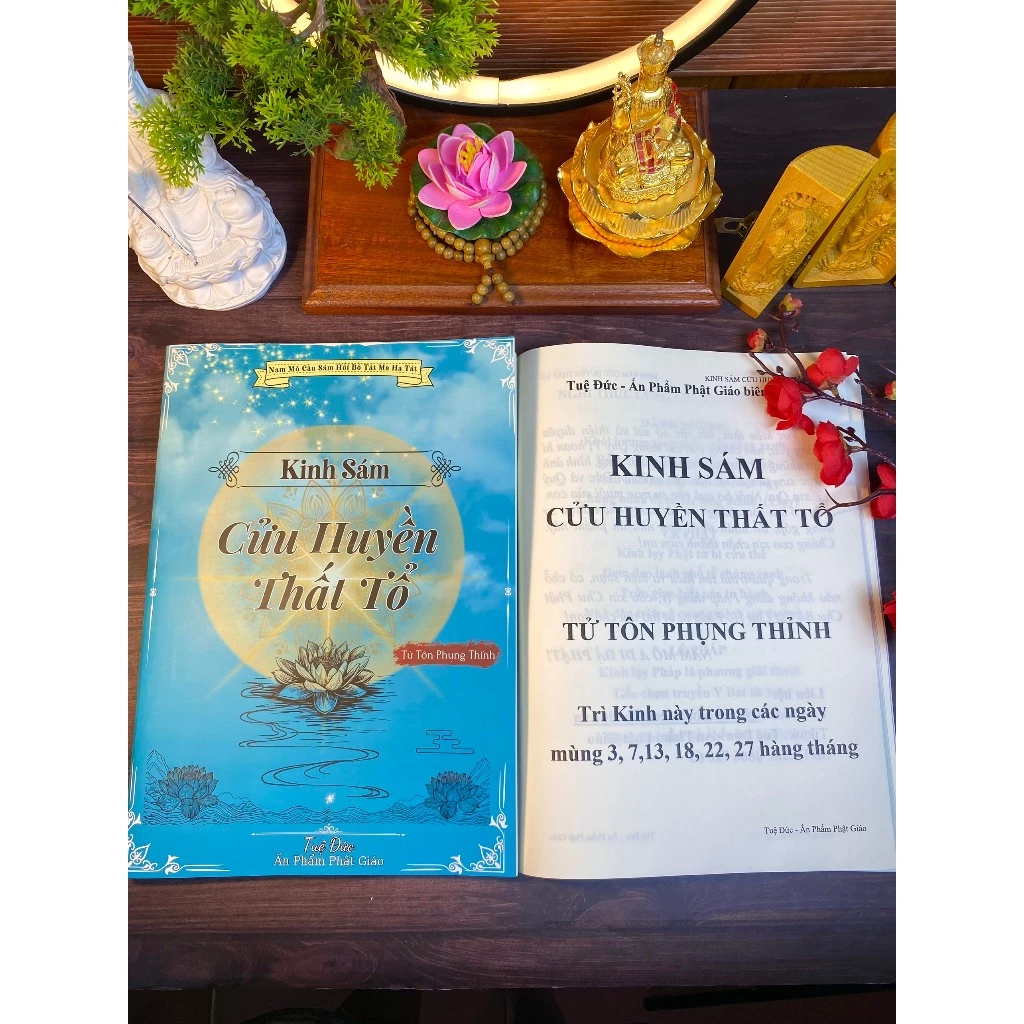 Kinh Sám Cửu Huyền Thất Tổ - Tuệ Đức - Ảnh 3