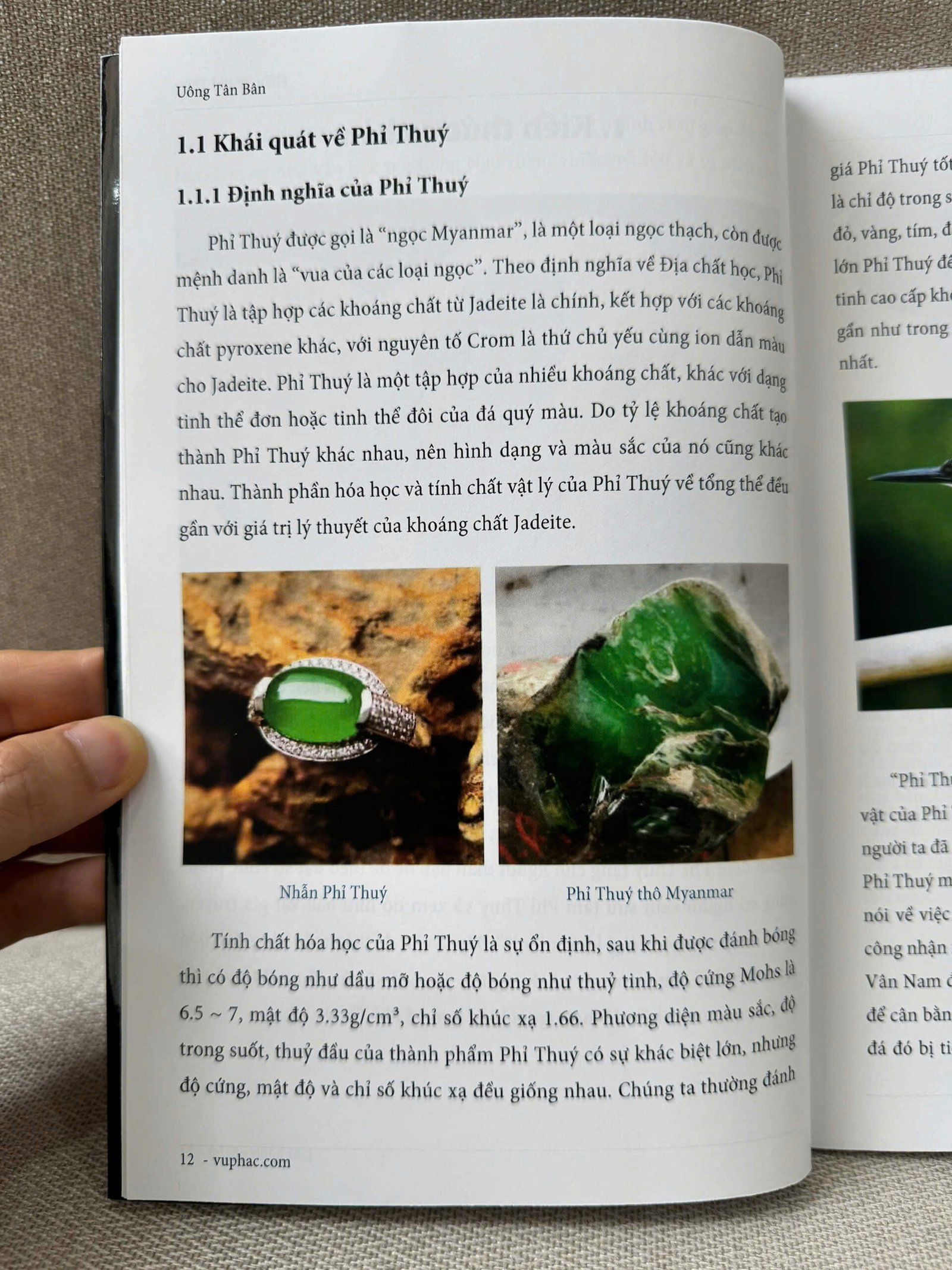 Hiểu Về Phỉ Thuý – Uông Tân Bân - Ảnh 2
