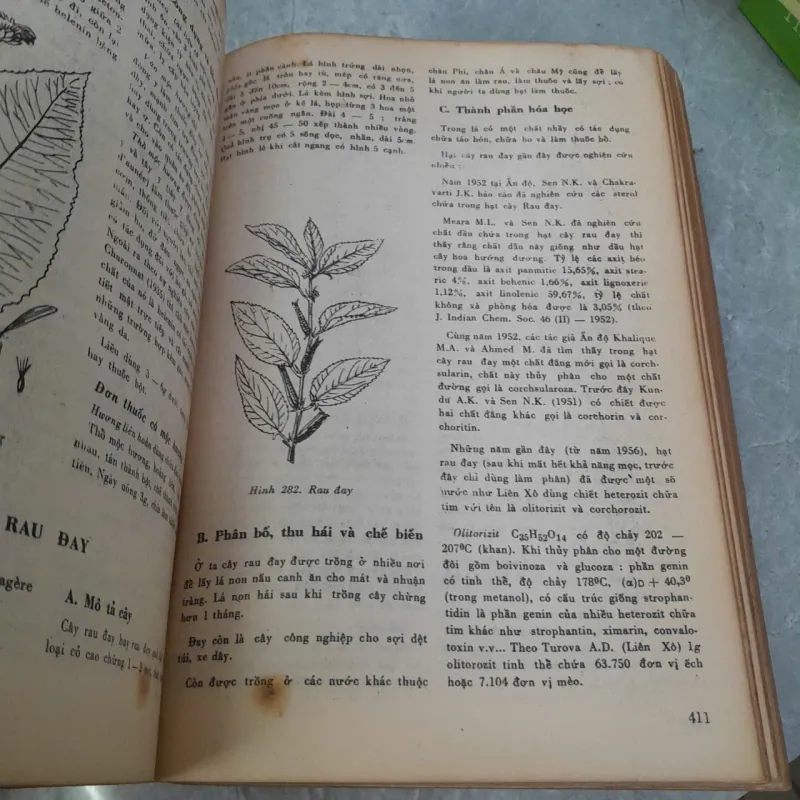 Những Cây Thuốc Và Vị Thuốc Việt Nam - Đỗ Tất Lợi (Sách Xưa) - Ảnh 2