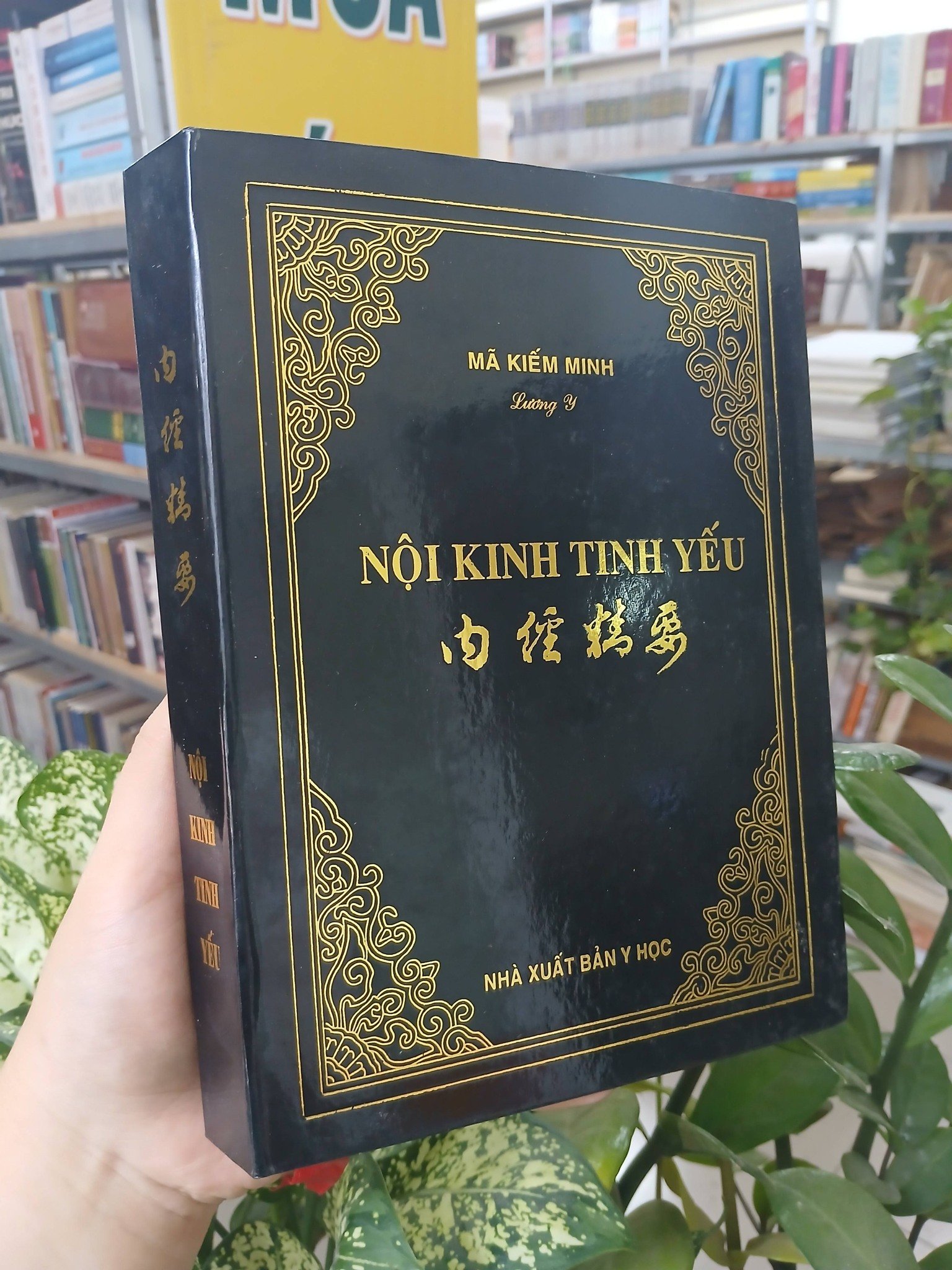 Nội Kinh Tinh Yếu - Lương Y Mã Kiếm Minh